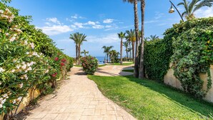 A paved pathway lined with lush greenery and palm trees, leading towards a body of water.