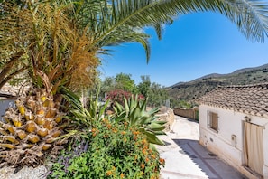 A courtyard with a palm tree, agave plant, and flowering plants. - Pet-Friendly Cottage 'Casa Escondida' with Mountain View, Pool & Wi-Fi (Albuñuelas)