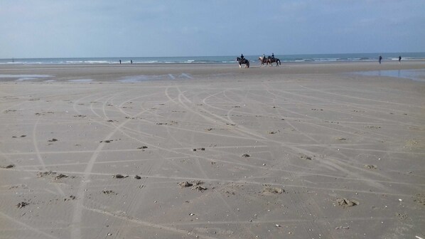 Beach - Vacation home 102 - Duinhoek (De Panne)