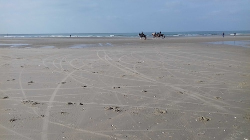 Vacation home 102 - Duinhoek