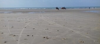 Vacation home 102 - Duinhoek