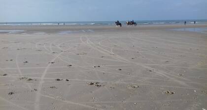 Vacation home 102 - Duinhoek