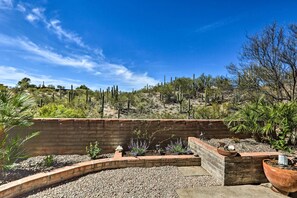 Property grounds - Beautiful 'Saguaro Vista' w/ Mountain Views! (Tucson)