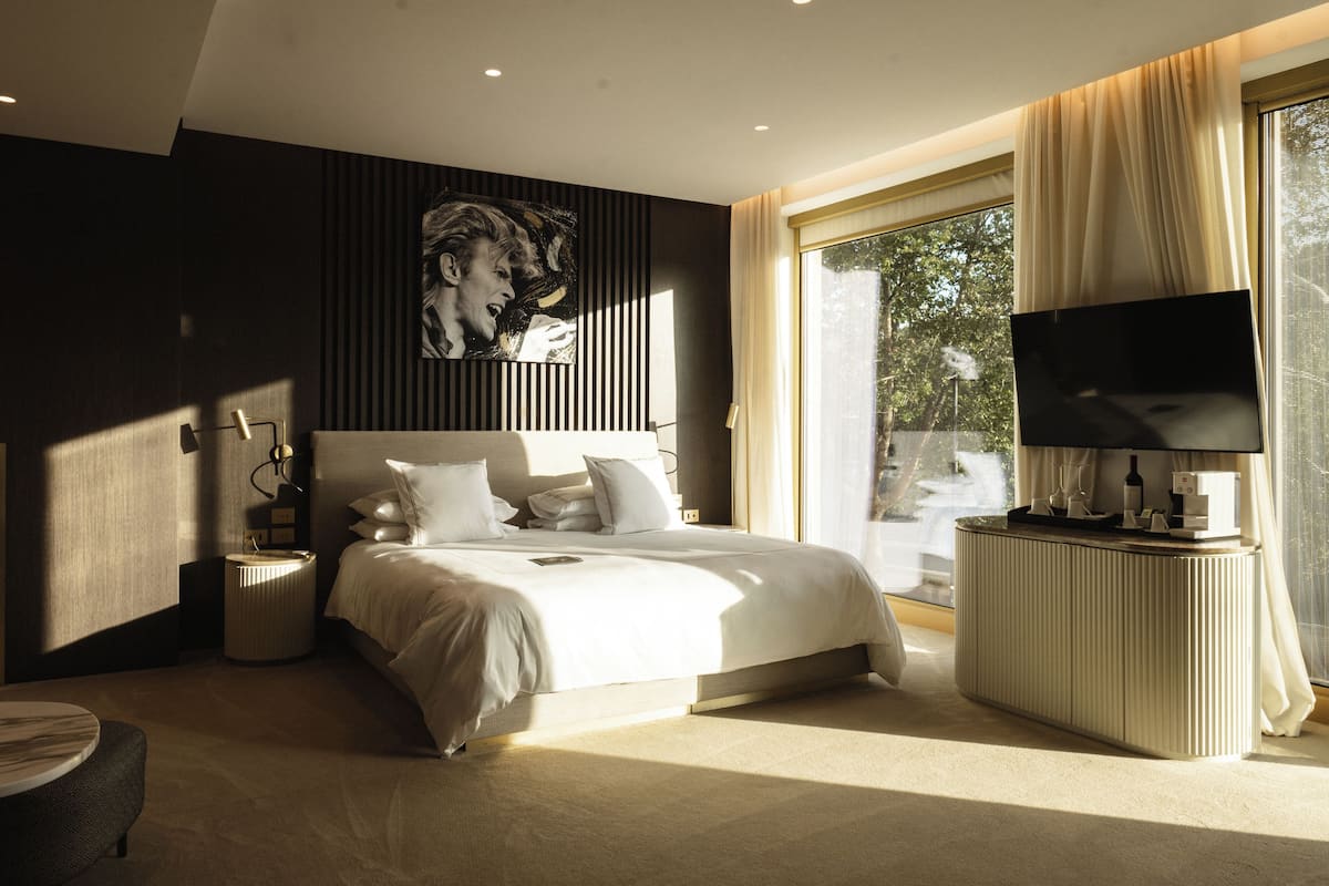 Junior Studio Suite (Junior Suite View)