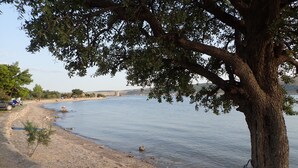 Une plage avec un arbre au premier plan, un ciel dégagé et une étendue d’eau calme.