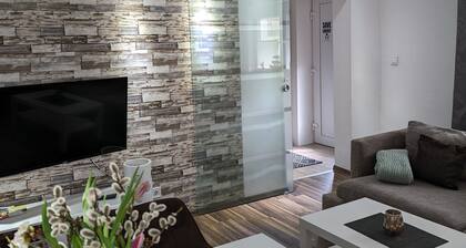 Vacation apartment Zum KĂŒhlen Grund Willingen