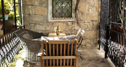 Charming Villa Irena Gem of Vipava Valley