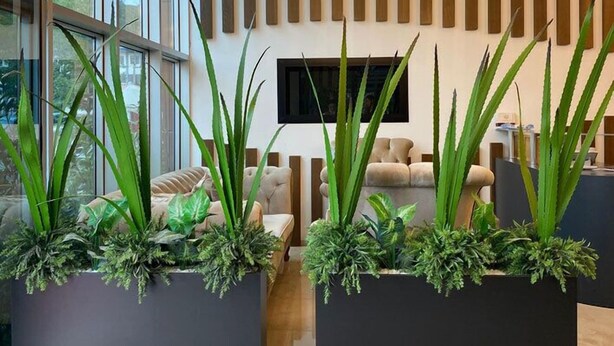 Reception - Yaman Suite Hotel (Yomra)