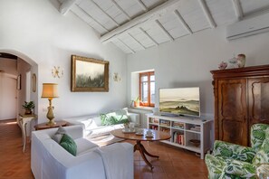 Smart TV, fireplace - Enchanting Villa with Pool, Airco and WiFi close to Rome (Lazio)