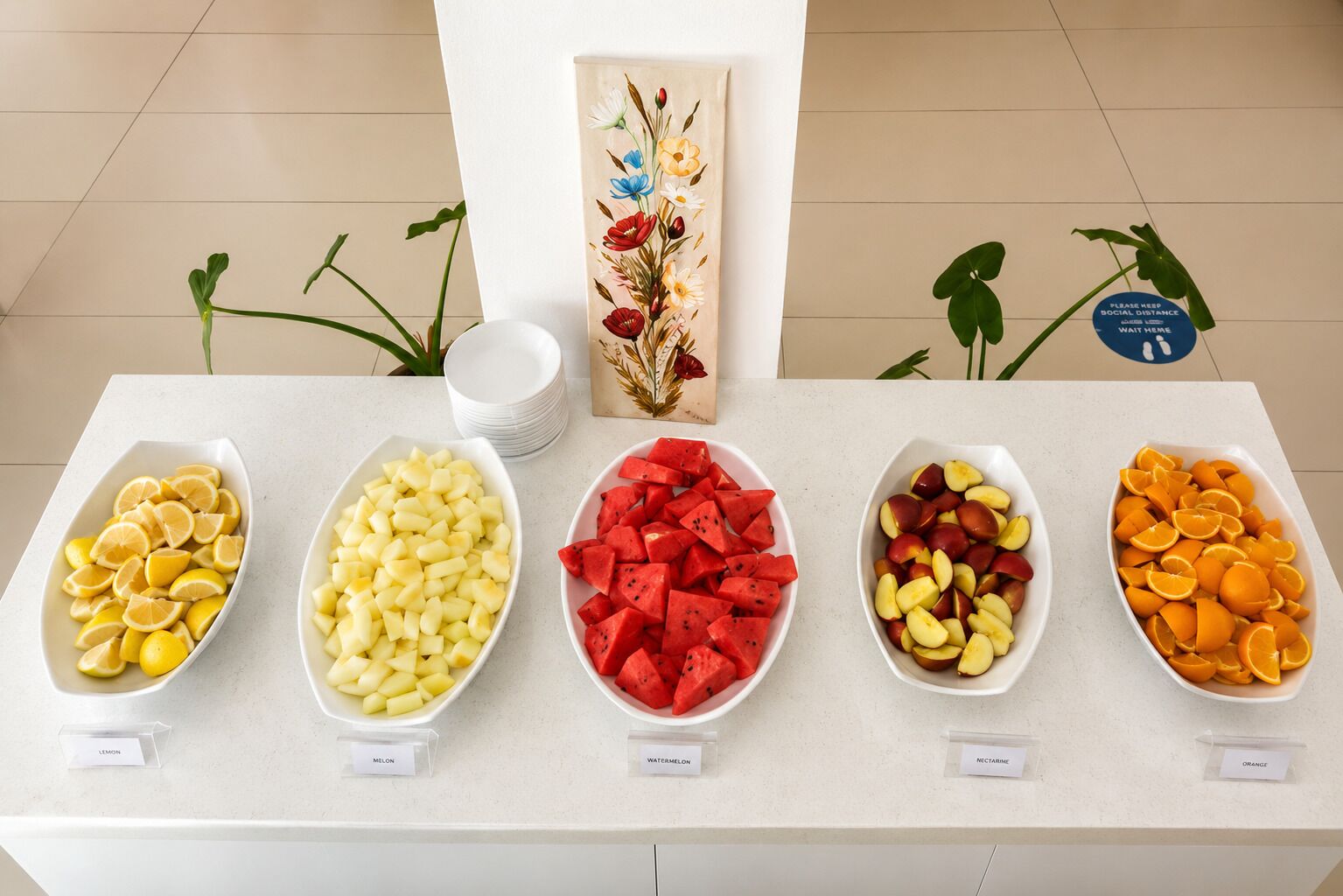 A buffet table with labeled bowls of various fruits including lemons, melon, watermelon, nectarines, and oranges.