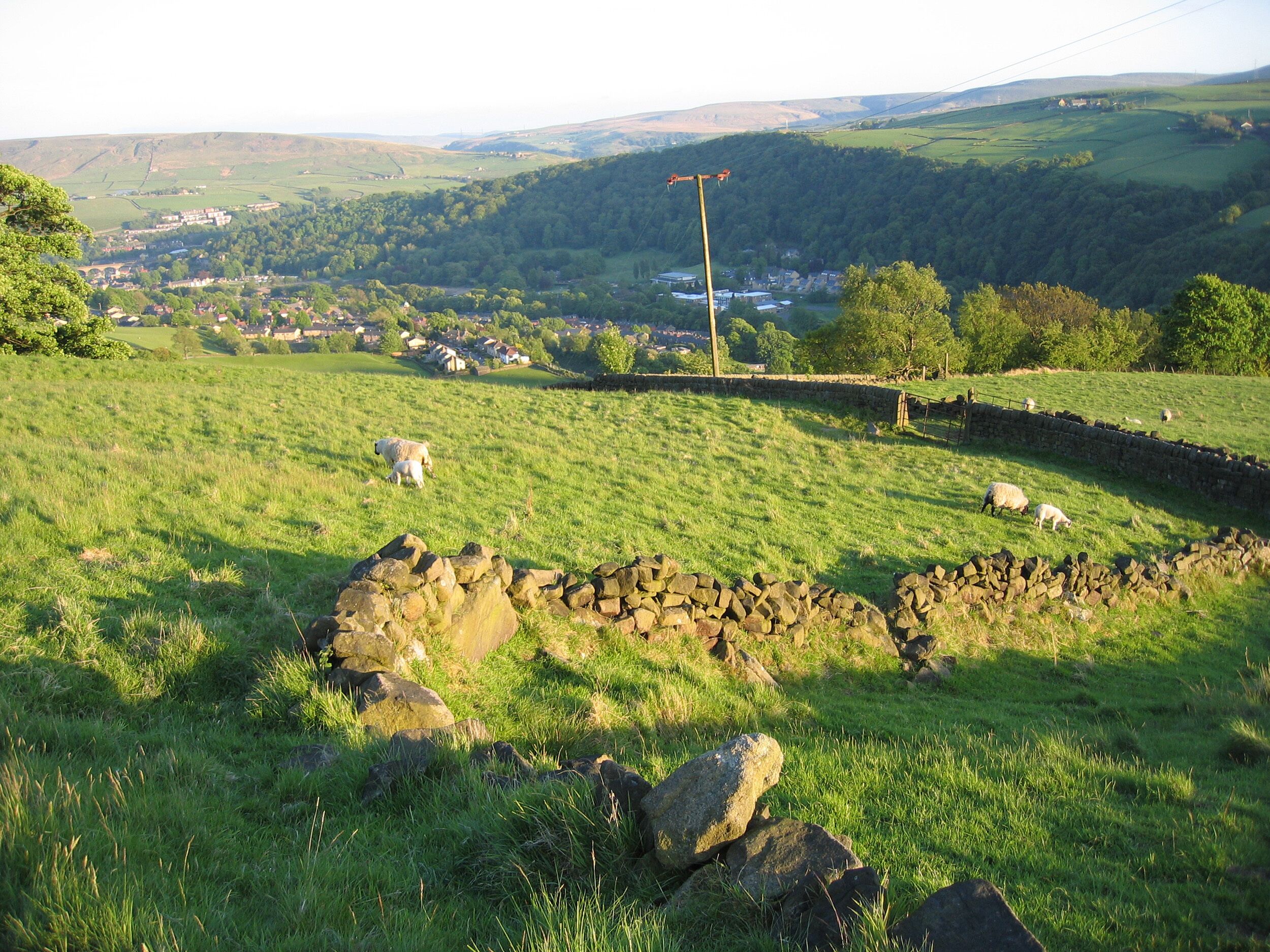 A rural landscape with a stone wall, sheep grazing, and a distant village.
