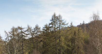 2-bed Cottage With Hot Tub at Loch Achilty, Nc500