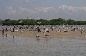 Una spiaggia nelle vicinanze