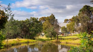 Un entorno tranquilo junto al lago con una casa al fondo.