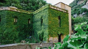 Um edifício coberto de hera verde, com uma escadaria de pedra levando a uma porta.