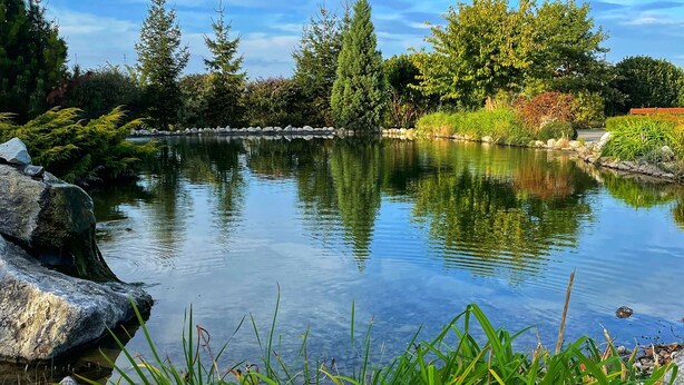 A tranquil pond surrounded by lush greenery and trees. - Amenity Penzion Horní Věstonice (Horní Vestonice)