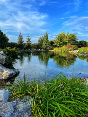 A tranquil pond surrounded by lush greenery and trees. - Amenity Penzion Horní Věstonice (Horní Vestonice)