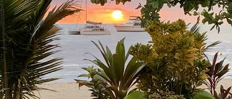 Une vue sur le coucher de soleil, avec des bateaux sur l’eau, le tout entouré de plantes tropicales.