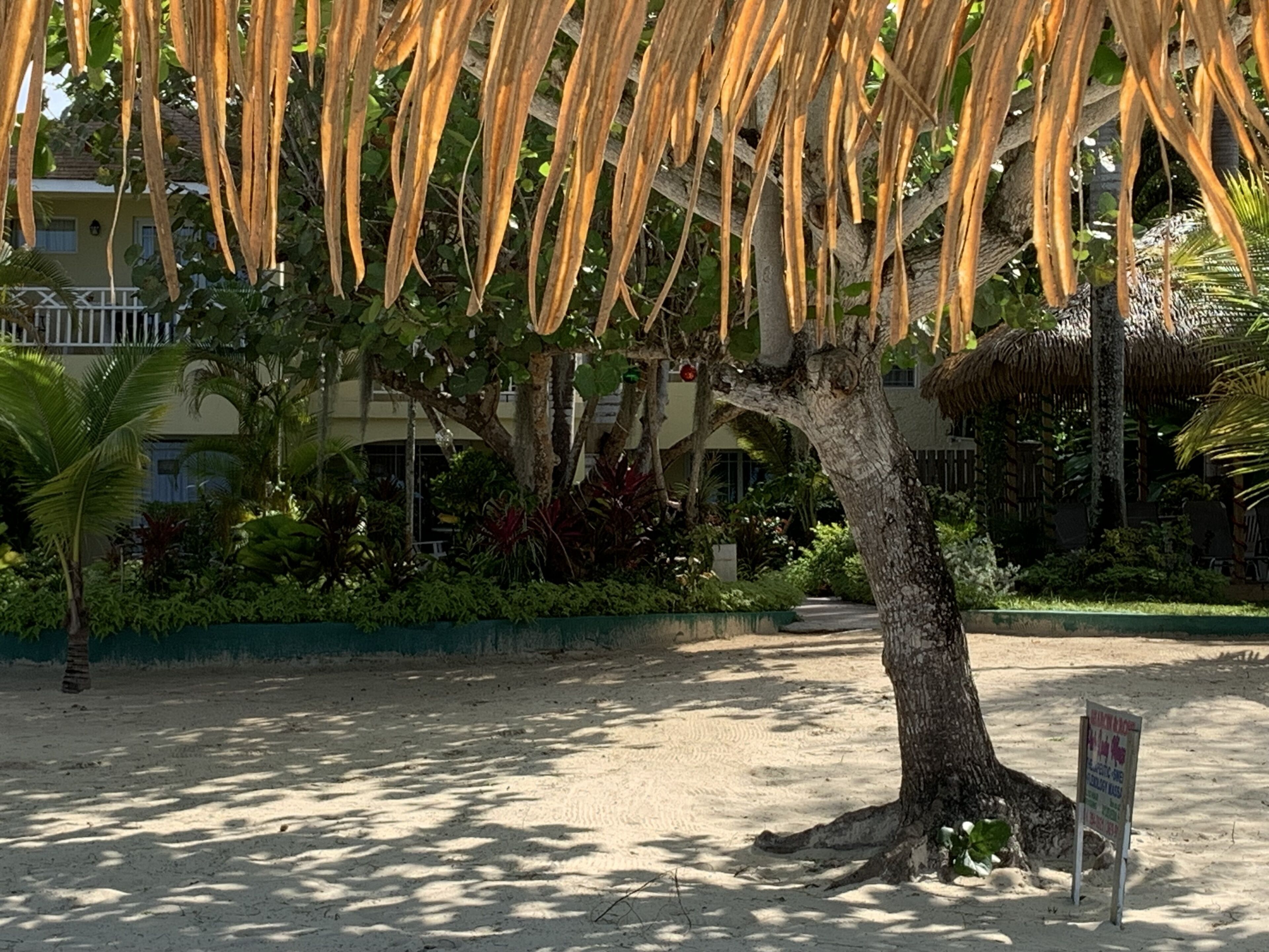 Foto - Family Comfort in Jamaica - Enjoy 7 miles of White Sand Beach! villa