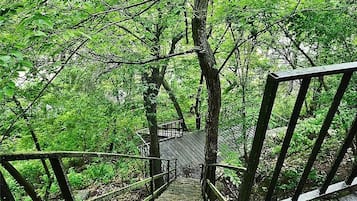 House, 5 Bedrooms | Property grounds