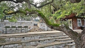 Stone steps leading up to a seating area with chairs and a table, surrounded by greenery and a building in the background.