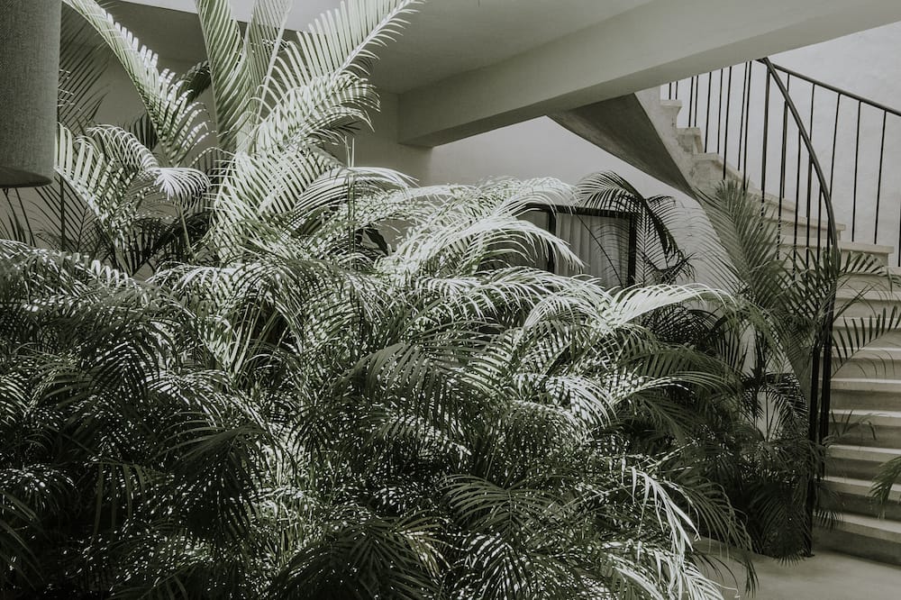 Hotel Aurora