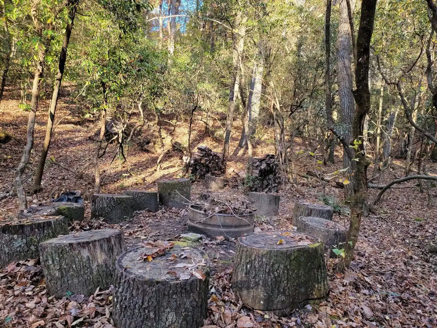 A forest clearing with a stone bench and a fire pit.