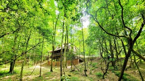 Una cabaña de madera rodeada de un bosque denso con una terraza de madera que la conduce.