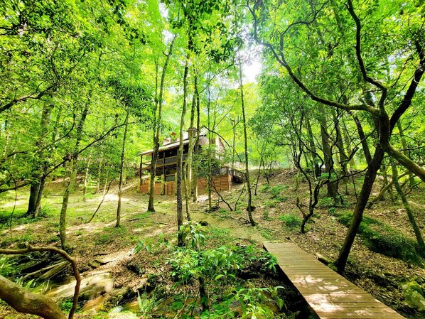 Una cabaña de madera rodeada de un bosque denso con una terraza de madera que la conduce.