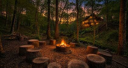 Ruhewald Cabin - Hot Tub, 3 Creeks w/Waterfalls, Remote
