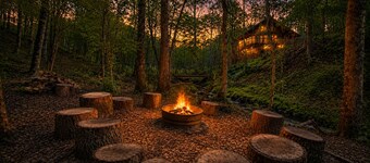 Ruhewald Cabin - Hot Tub, 3 Creeks w/Waterfalls, Remote