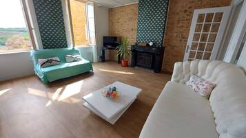 Älytelevisio, kirjoja