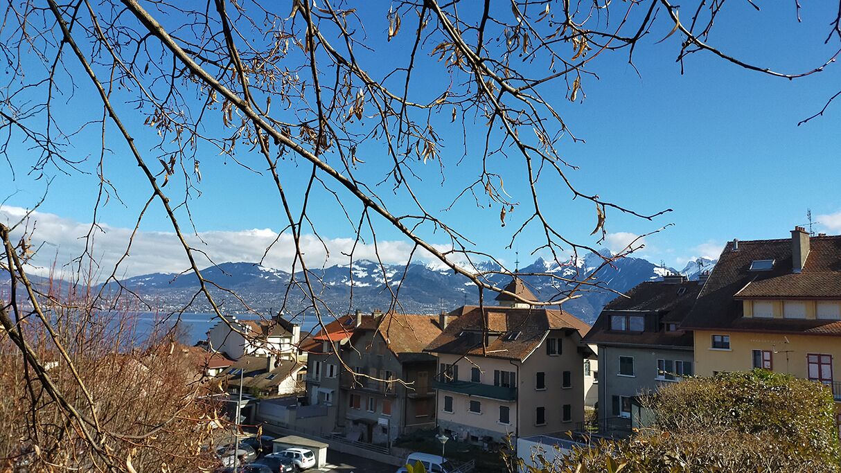 A residential area with houses, a clear sky, and mountains in the background.