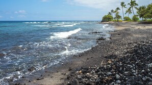 Una playa con olas, piedras y palmeras.