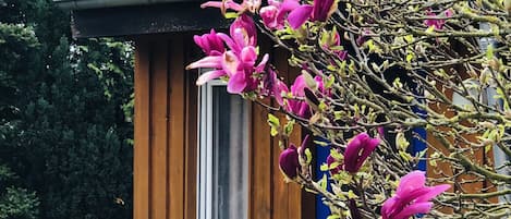 Außendetails
