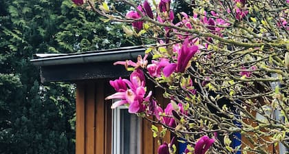 Tiny house for 2 (+) near Mardorf on the Steinhuder Meer