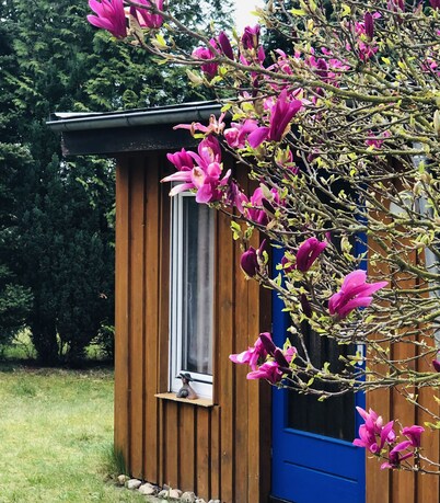 Tiny house for 2 (+) near Mardorf on the Steinhuder Meer