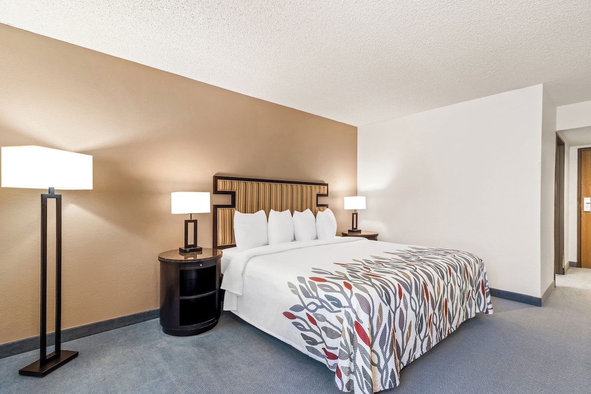 Superior Room, 1 King Bed, Accessible, Non Smoking
