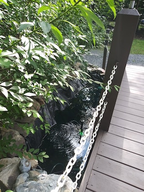 Property grounds - Cozy and Charming Chalet! Close to Hiking Trails and Ski Areas! (Tobyhanna)