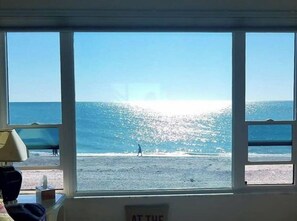 On the beach - Manasota Key Beach Front Condo (Englewood)