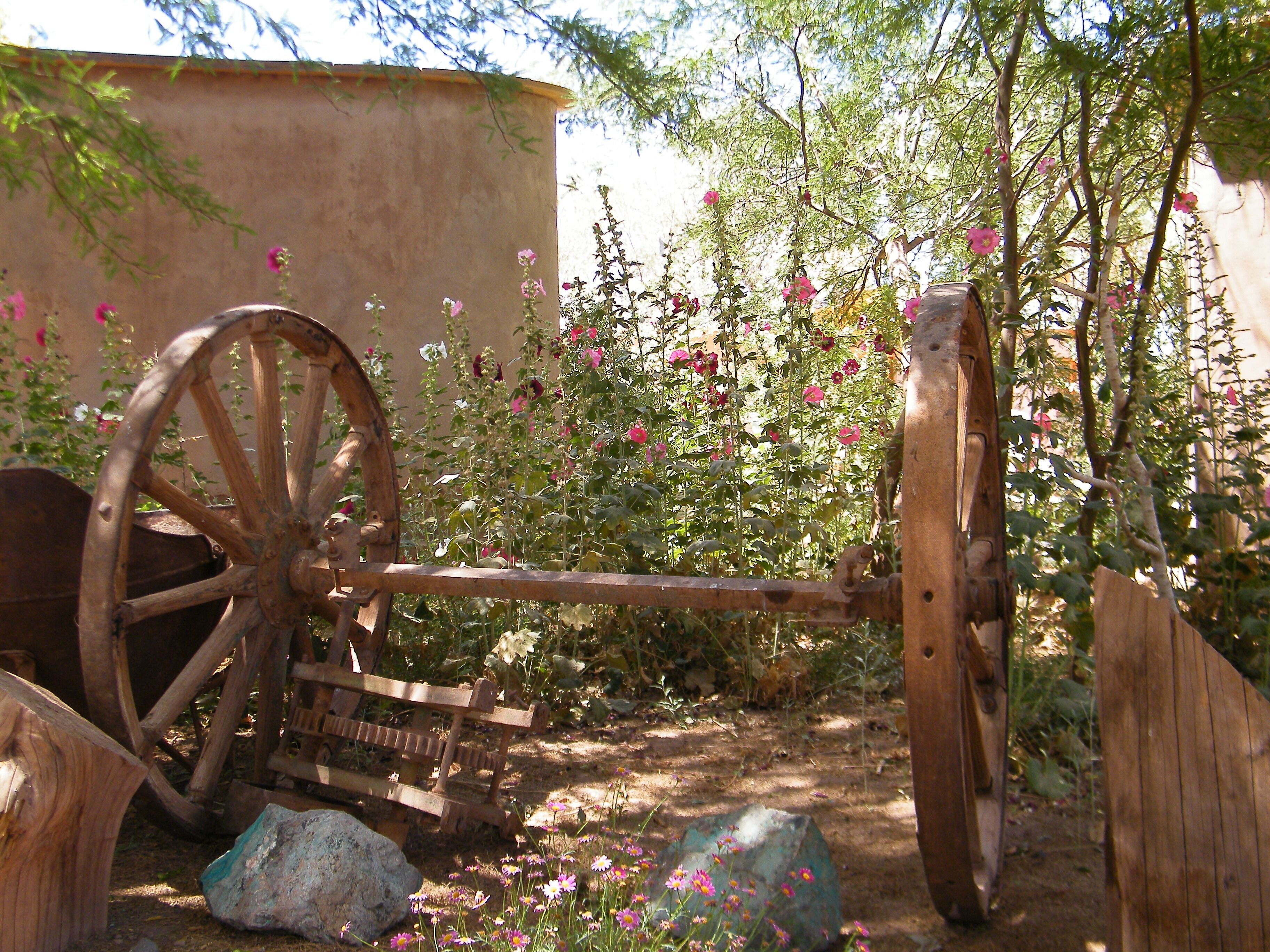 Photo - Hotel-Camping Takha Takha