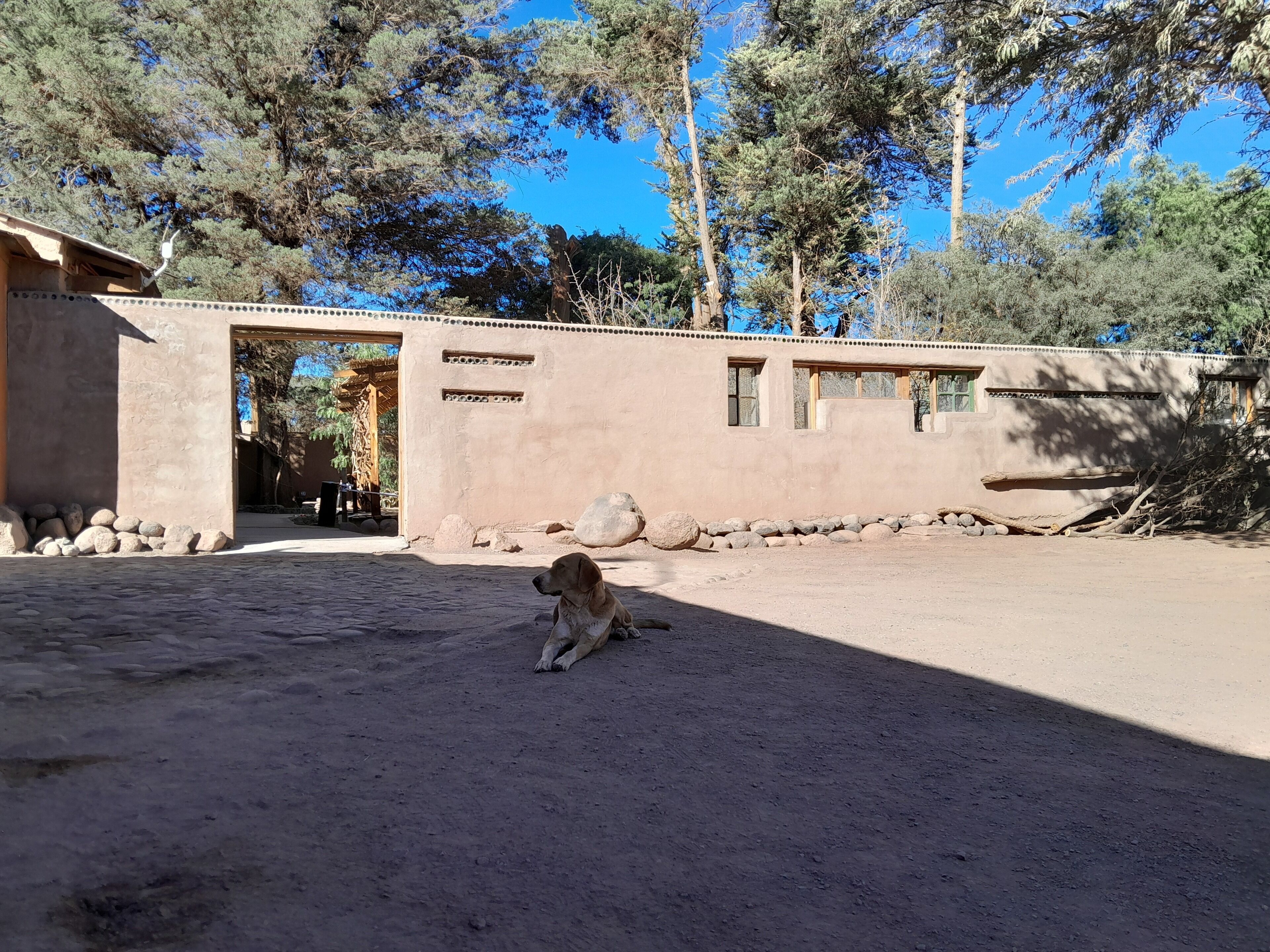 A rustic building with a stone foundation and a wooden door.