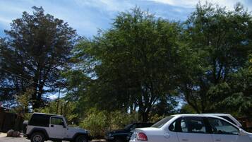 A parking area with a white SUV and a white sedan, surrounded by trees.