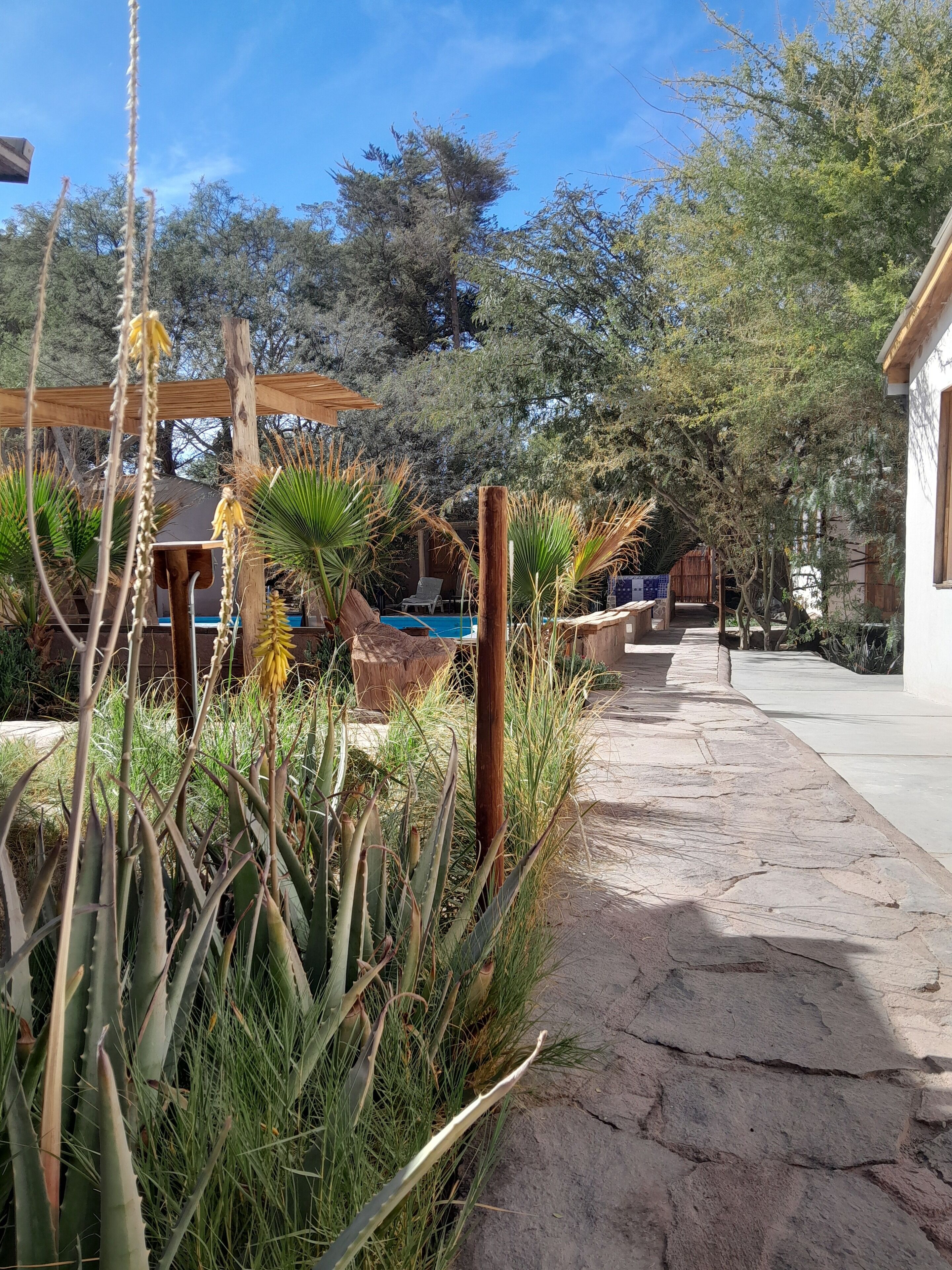 Photo - Hotel-Camping Takha Takha