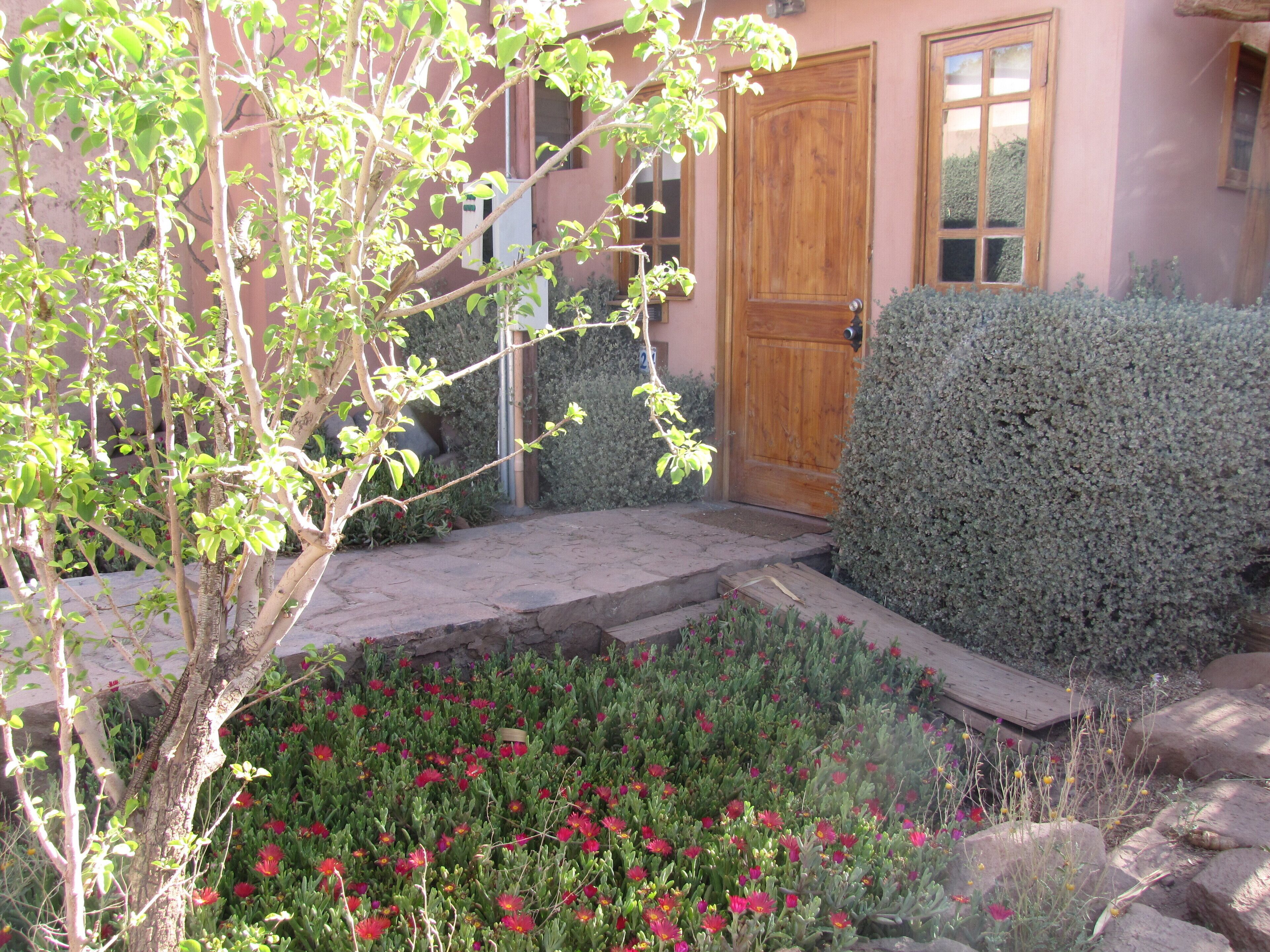 Una casa con puerta de madera, un pequeño jardín con flores rojas y un seto.