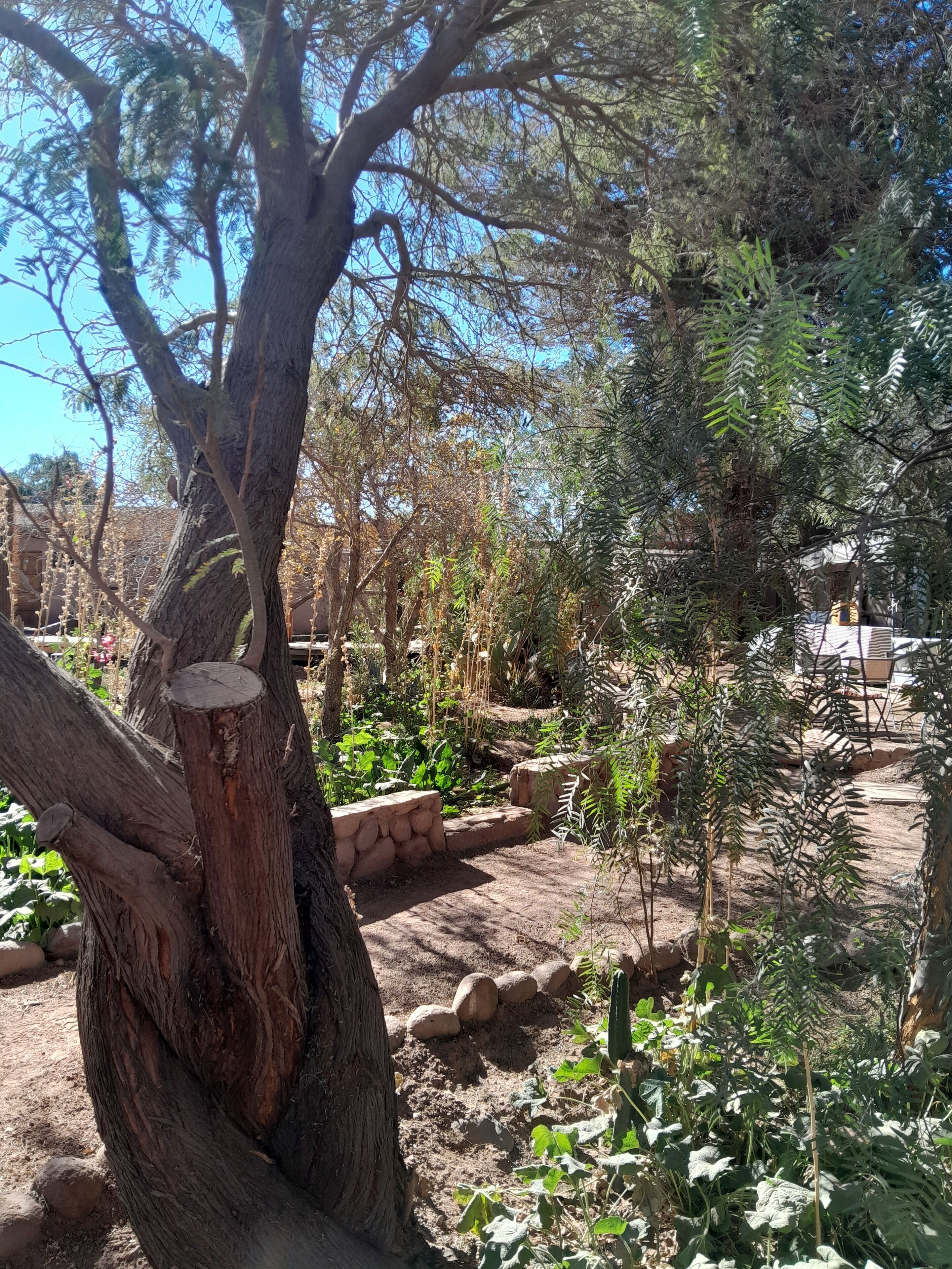 Photo - Hotel-Camping Takha Takha