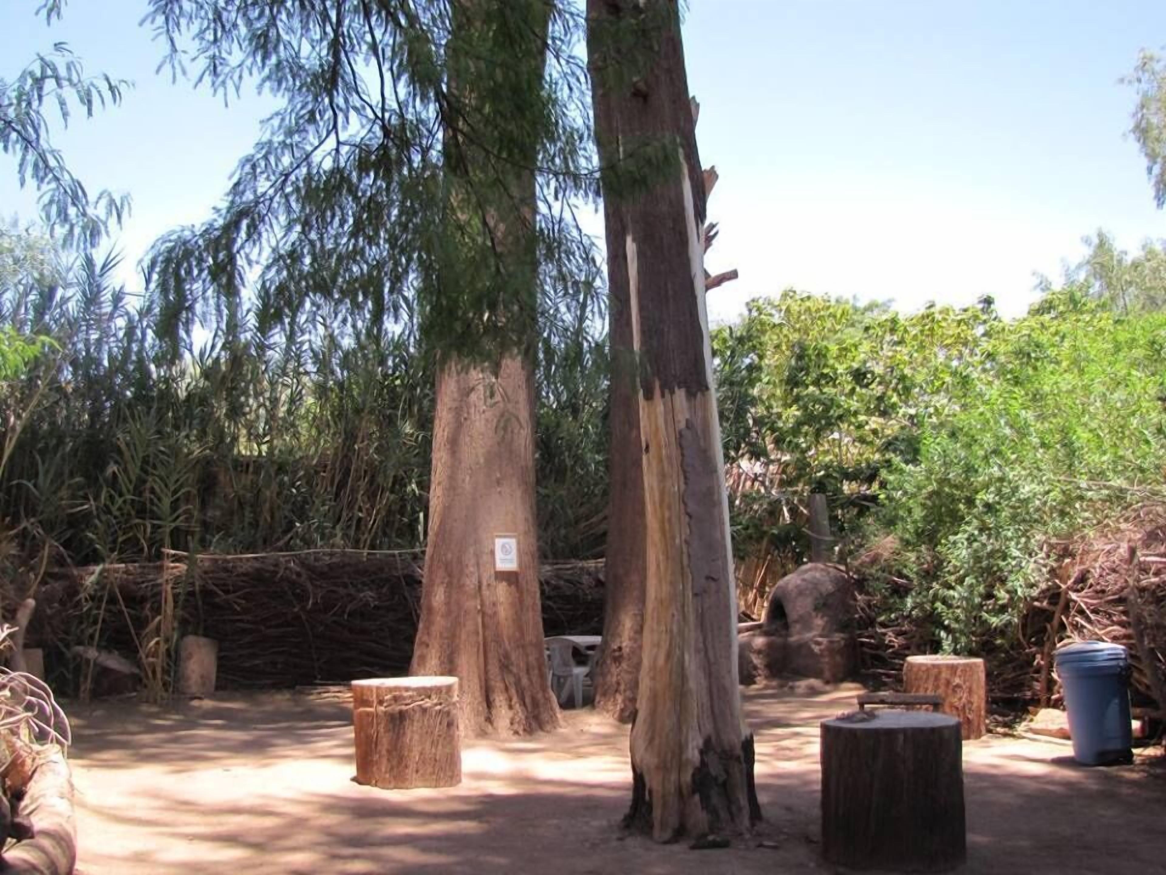 經典帳棚, 花園景觀, 花園 | 遮光布/窗簾、免費無線上網、床單