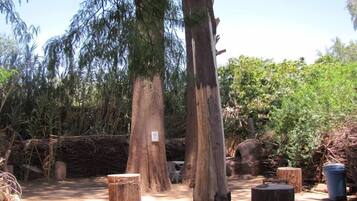 Tenda de campanya clàssica, vistes al jardí, zona enjardinada | 1 dormitori, cortines opaques, wifi gratuïta i roba de llit