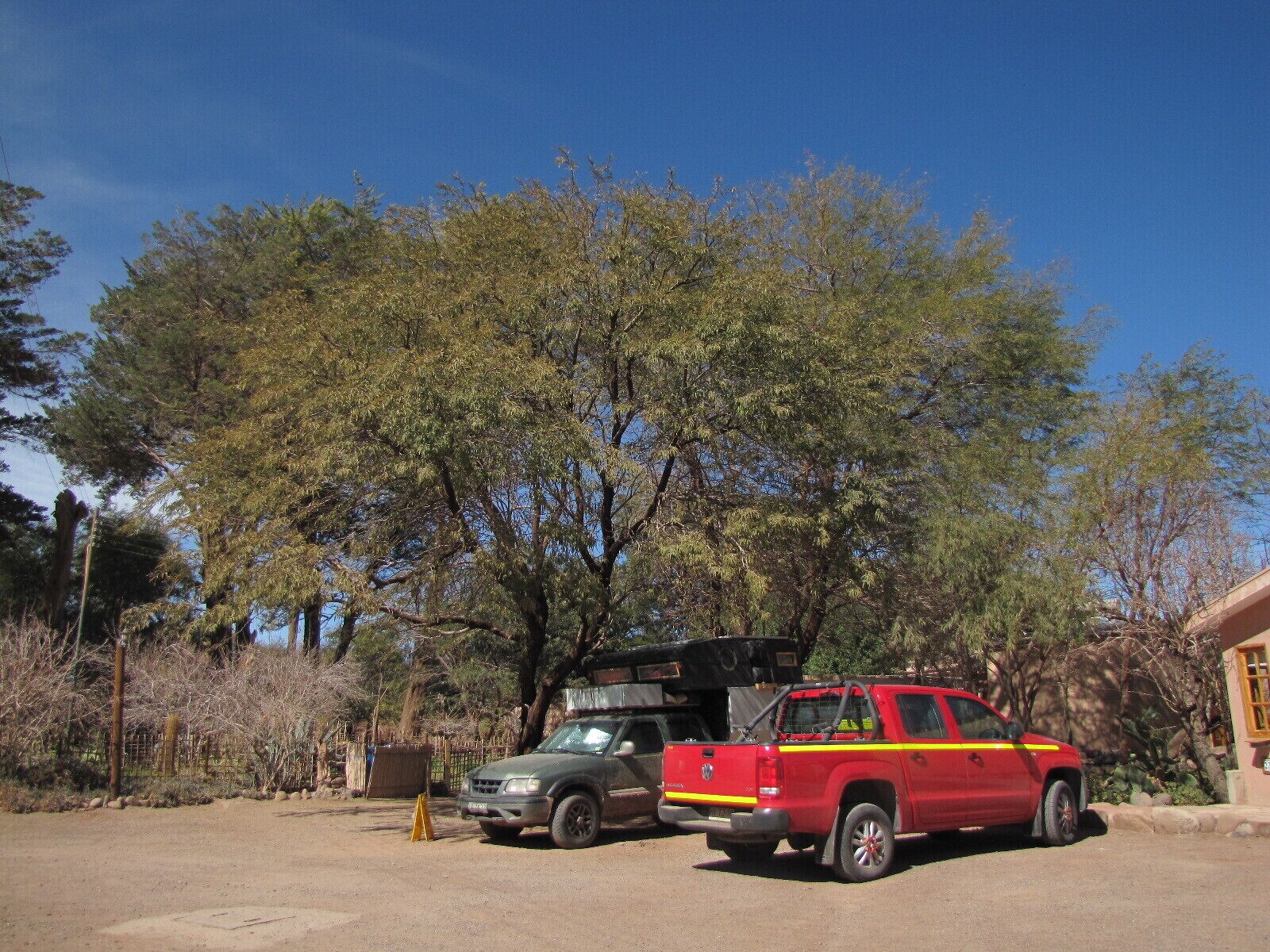 Photo - Hotel-Camping Takha Takha