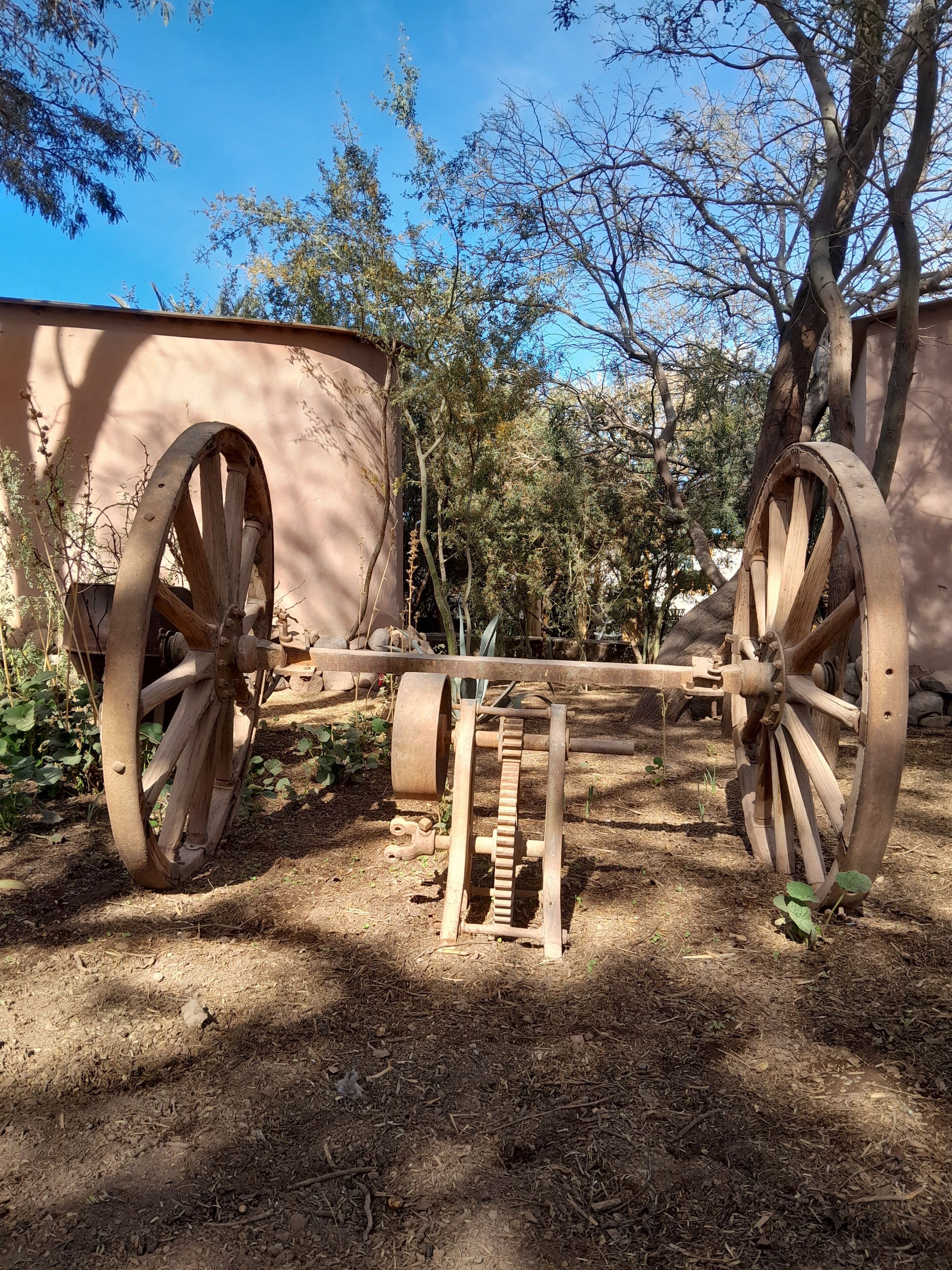 Photo - Hotel-Camping Takha Takha